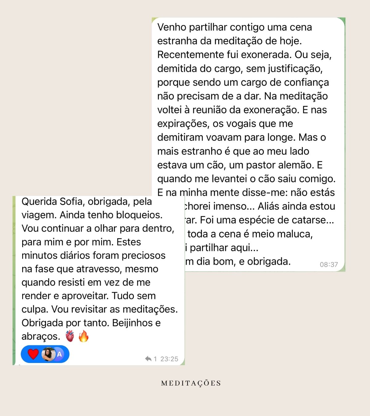 reviews meditacoes